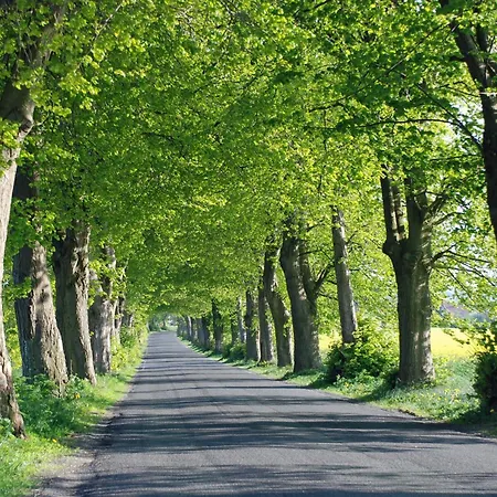 בית אירוח Mit Garten Und Sundblick